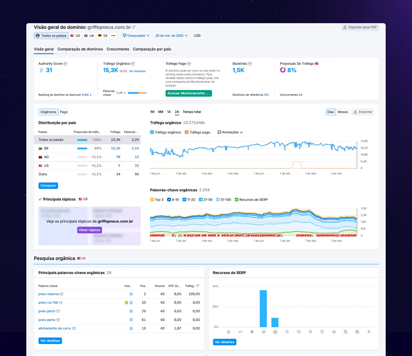 Painel do Semrush com as posições da Griffe Pneus